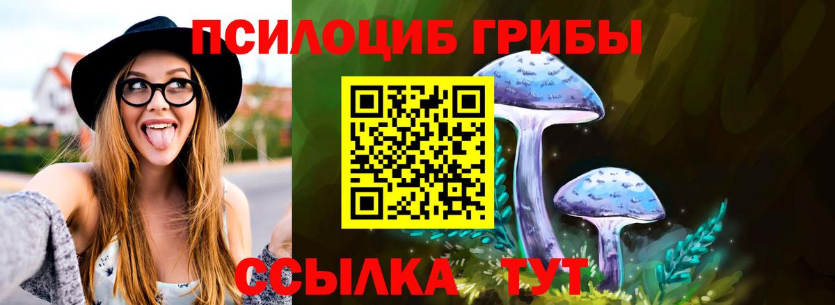 Троицк  Псилоцибиновые грибы Psilocybe  Псилоцибиновые грибы Magic Shrooms  Вход с VPN 